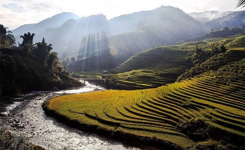 ngat ngay voi ve dep sapa khi vao mua lua chin