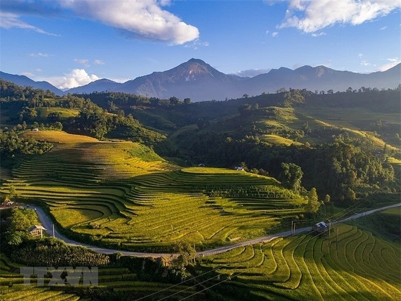 ngat ngay voi ve dep sapa khi vao mua lua chin