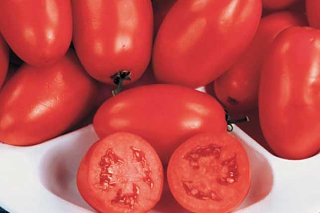 Chấm miếng cà chua vào muối rồi chà nhẹ, sau 15 phút nám mờ sạch, da căng mịn, hồng hào