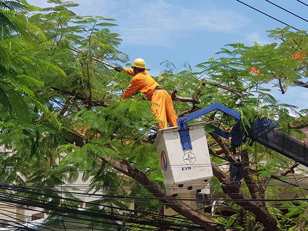 Các đơn vị thuộc EVNCPC chặt tỉa cây để bảo vệ hành lang tuyến, giảm thiểu sự cố khi bão Noru đổ bộ.