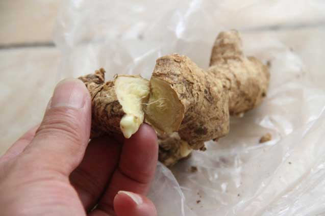 10 bộ phận cực độc của các loại rau củ quen thuộc, ăn vào gan hỏng, thận suy, cả nhà nhập viện