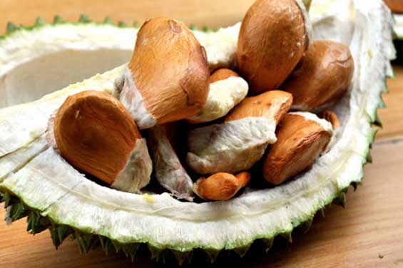 Quả sầu riêng có 2 bộ phận rất quý giá: Bổ thận, khỏe xương, tốt cho tim mạch, tiếc là ai cũng vứt đi