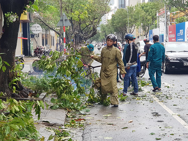 Lực lượng công an, dân phòng các địa phương cũng tham gia dọn dẹp cây cối ngã đổ trên các đường phố để đảm bảo lưu thông thông suốt