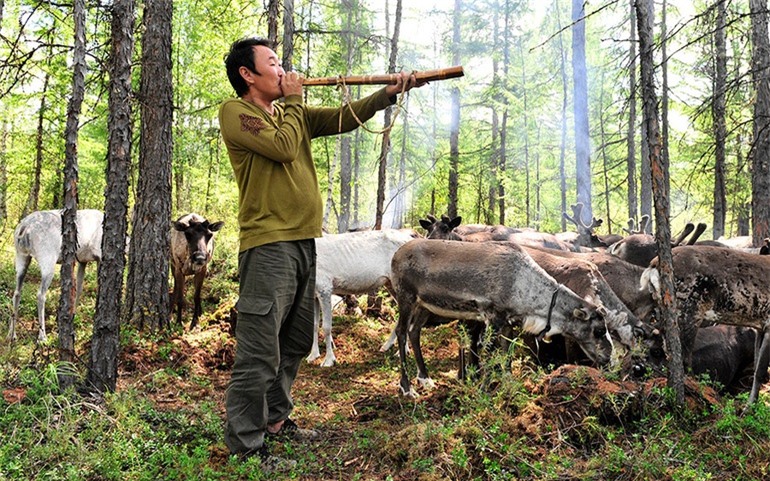 Anh Suobin, một thợ săn của bộ tộc Ewenki, sử dụng "còi hươu" để gọi hươu hoang dã tại điểm tuần lộc trong vùng nội địa của dãy núi Khingan. Đây là chiếc còi hươu duy nhất còn sót lại của bộ tộc tuần lộc này. Ảnh: Wang Wei