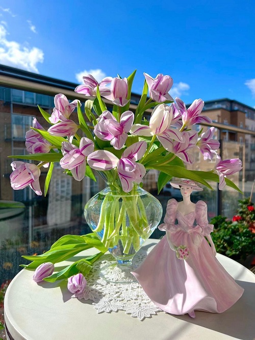 Tử vi ngày 28/9/2022 của 12 cung hoàng đạo