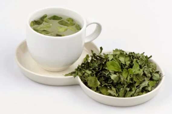 Uống trà chùm ngây mỗi ngày tốt như "nhân sâm", kiểm soát huyết áp và ngừa bệnh tim mạch hiệu quả