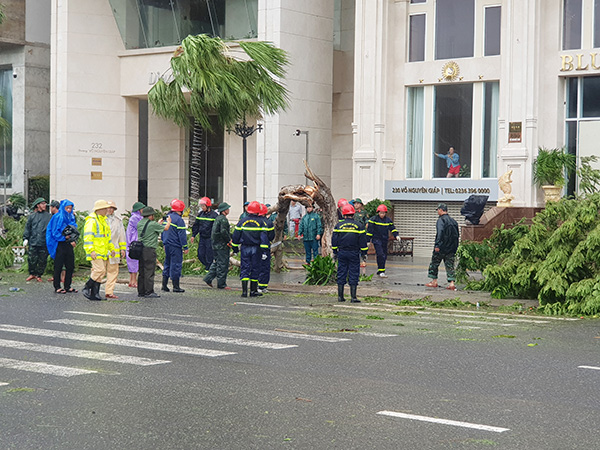 Các lực lượng chức năng cũng khẩn trương dọn dẹp cây cối ngã đổ trước các khách sạn để du lịch Đà Nẵng sớm trở lại hoạt động bình thường