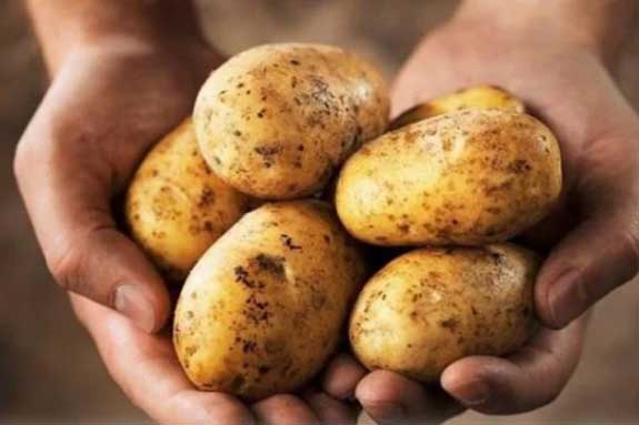 6 loại rau củ giàu năng lượng, gây béo hơn cả thịt cá, ai muốn giảm cân nên tránh xa