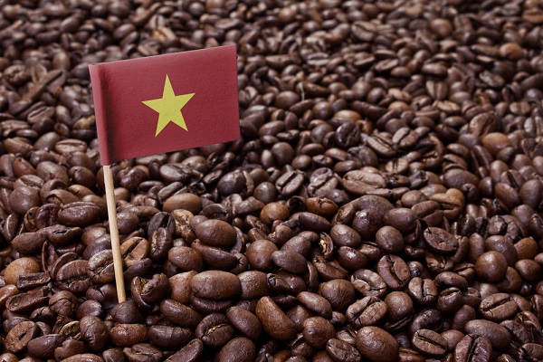 In the first eight months of 2022, Vietnam exports 34,680 tonnes of coffee worth 70.68 million USD to the United Kingdom.