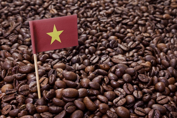 Vietnam's coffee exports to the UK benefit from UKVFTA
