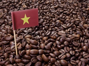 Vietnam's coffee exports to the UK benefit from UKVFTA