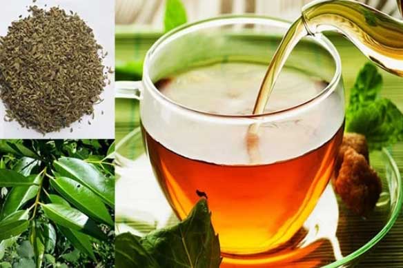 Uống 1 cốc nước vối mỗi ngày, vừa đào thải các độc tố trong cơ thể lại làm sạch ruột hiệu quả