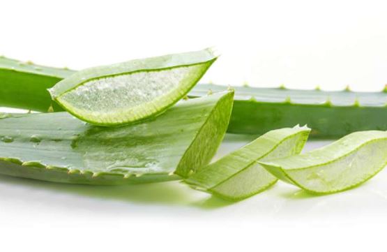 2 cách trị mụn tại nhà chỉ cần sử dụng nha đam