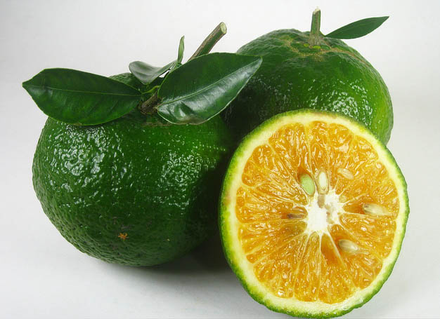 Bạn nên ăn bao nhiêu quả cam một ngày là đủ?