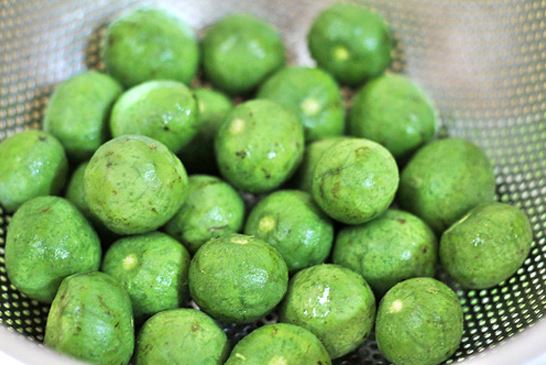 Công dụng chữa bệnh của quả sấu bạn phải biết