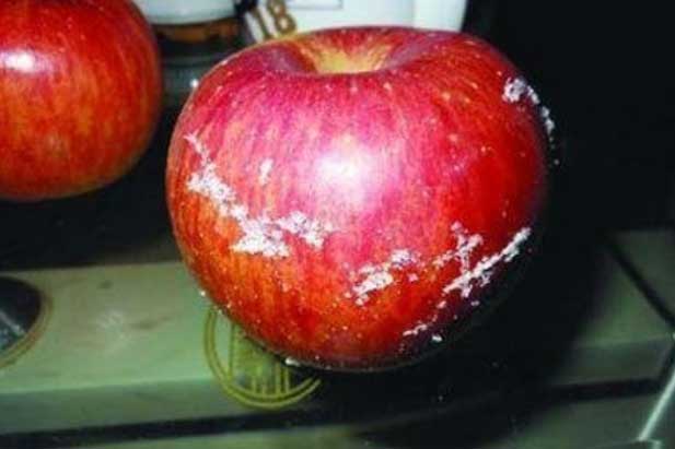 5 loại trái cây bị cho vào 'danh sách đen' rất hại sức khỏe, người thông minh không bao giờ ăn