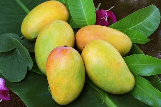 6 loại quả ngon miệng nhưng càng ăn càng béo, người phát tướng, bụng 'hàng rổ mỡ'