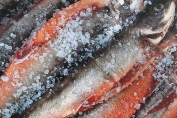 Ăn cá rất tốt cho sức khỏe nhưng có 3 loại cá ăn nhiều dễ hỏng não, tàn phá gan, thận