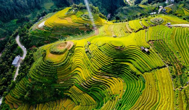 Hàng nghìn người đổ về Mù Căng Chải ngắm mùa vàng chảy tràn trên triền núi