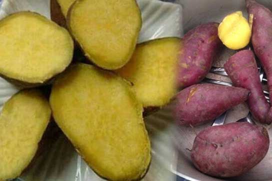 2 khung giờ vàng ăn khoai lang cực tốt cho cơ thể, giúp giảm cân nhanh thần tốc