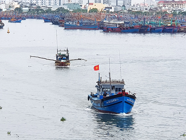 Đà Nẵng: Giá xăng dầu giảm, nhiều tàu cá vươn khơi