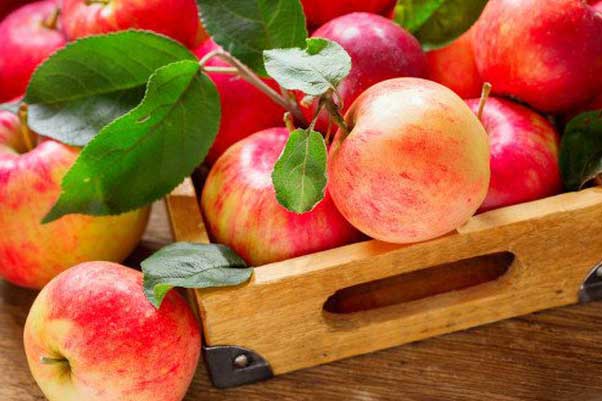 Không cần dùng thuốc giảm cân, thường xuyên ăn 4 loại quả này giúp bạn có vóc dáng thon gọn