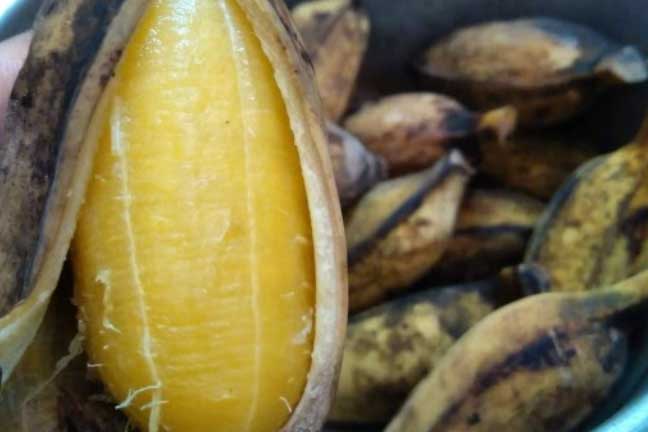 Làm thêm một bước trước khi ăn chuối, mỡ thừa sẽ tiêu biến lại trị hàng loạt bệnh