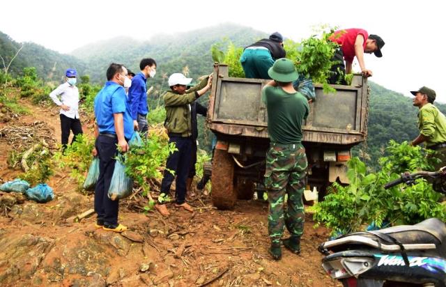 Nối dài hành trình trồng cây bảo vệ rừng