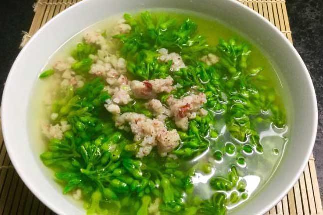 Lợi ích tuyệt vời của hoa thiên lý, ai không biết phí cả đời