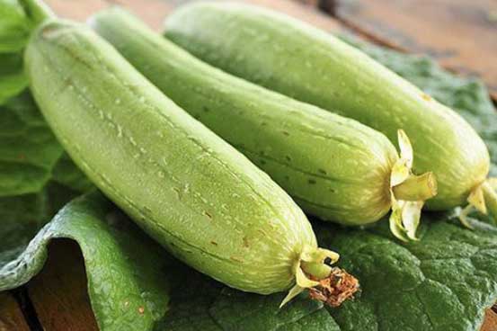 Lợi ích quý giá của quả mướp với sức khỏe con người