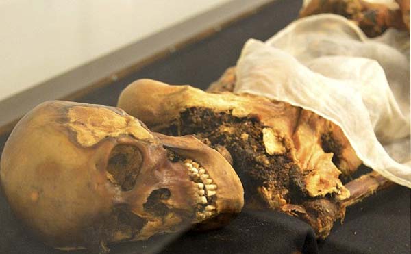 Trả giá đắt khi 'đánh thức giấc ngủ ngàn năm' của xác ướp