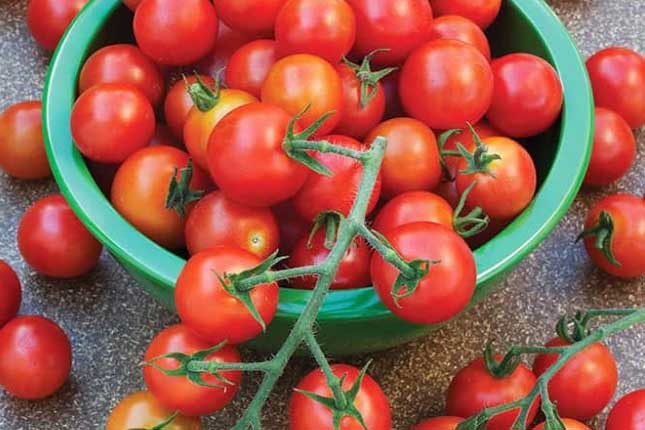 Bỏ túi công thức "chữa bệnh" từ cà chua, hiệu quả hơn cả thuốc