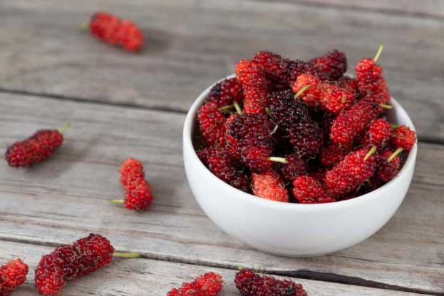 Dâu tằm "nhỏ nhưng có võ", phòng ngừa được nhiều bệnh, tốt cho sức khỏe của bạn