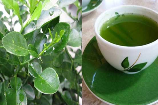 Đây là thứ lá dân buôn đang săn lùng và vặt trụi vì chứa nhiều công dụng, nhiều người khi biết tiếc ngẩn ngơ