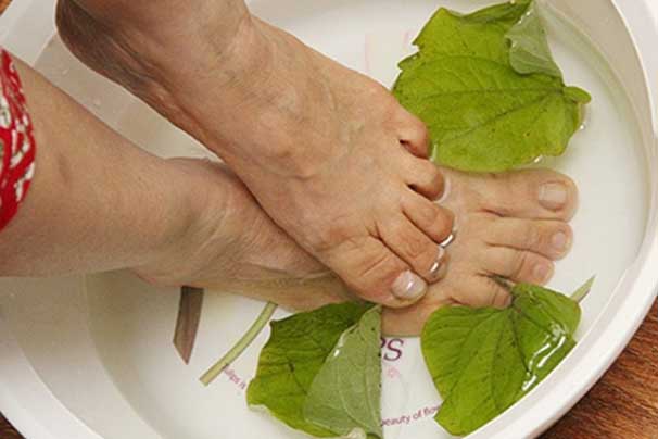 Ngâm chân tay bằng lá lốt đánh bay nhiều bệnh nguy hiểm, cơ thể khỏe thêm mỗi ngày