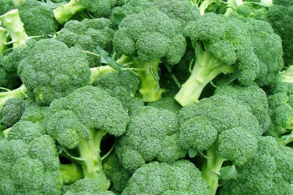 Những thực phẩm hàng đầu tăng cường miễn dịch cho cơ thể