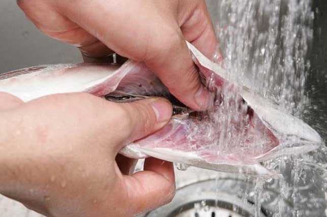 Cá nếu không làm sạch 3 bộ phận sau sẽ thành "độc dược", mở đường cho vi khuẩn tấn công cơ thể