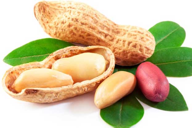 Thực phẩm tốt nhất nên có trong thực đơn mỗi ngày để tăng cường trí não và trí nhớ của bạn