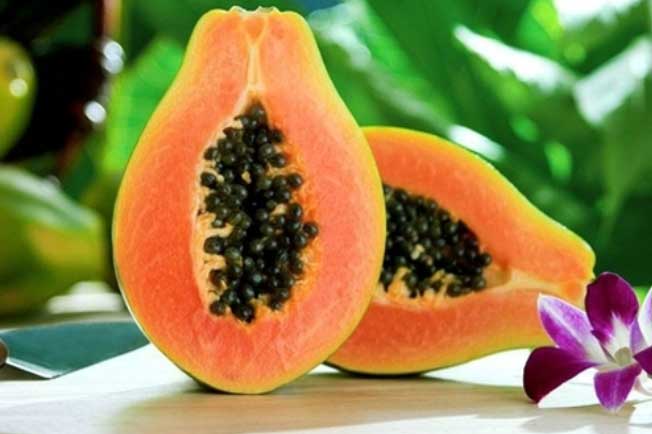 Đu đủ - Thần dược cho sức khỏe mà ít ai ngờ tới, hãy tìm hiểu để mua ngay về cho gia đình ăn