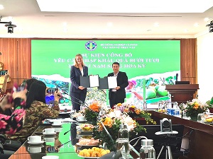 Mỹ chính thức nhập khẩu quả bưởi của Việt Nam