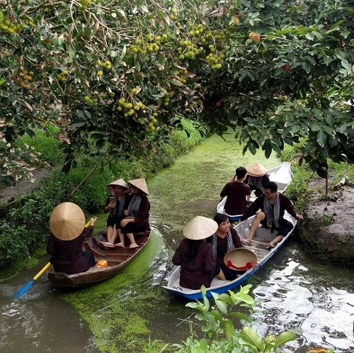 Vườn trái cây huyện Phong Điền