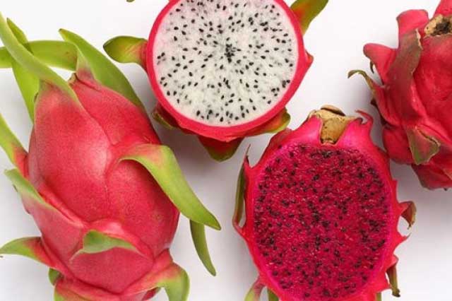 Thanh long rất bổ dưỡng nhưng có 5 thời điểm không được ăn, tránh mang bệnh tật vào người