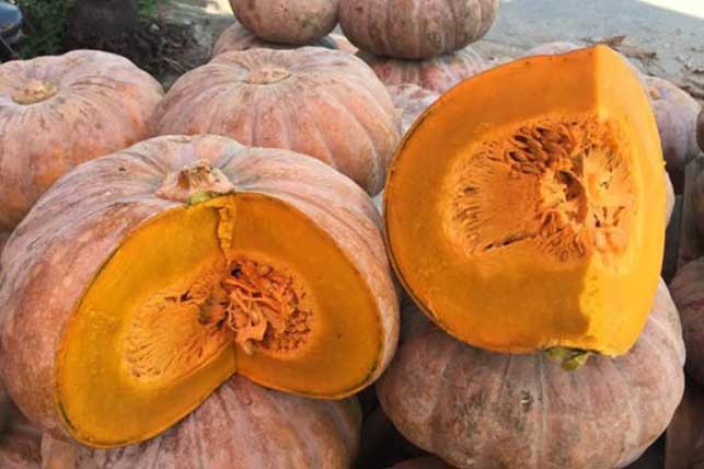 Ăn bí đỏ vừa bổ vừa đẹp nhưng sẽ "hại thân" nếu dùng theo cách này
