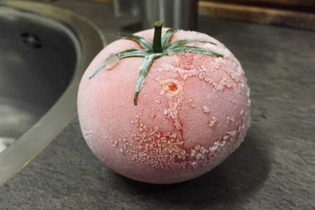 5 thực phẩm chỉ cần đông đá giúp da 'cải lão hoàn đồng', vừa trắng mịn lại đánh bay các loại mụn