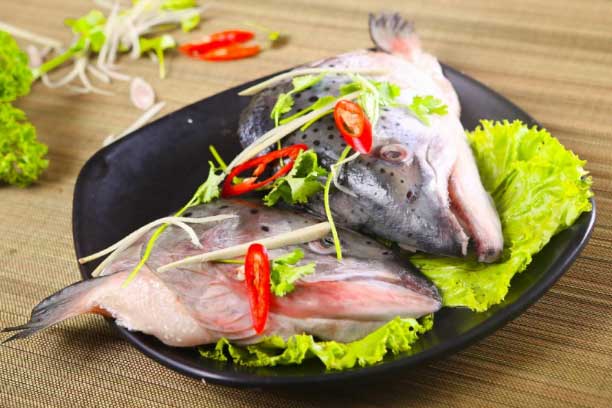 Ăn cá bổ não nhưng có 1 bộ phận chứa đầy thủy ngân, nhà có con nhỏ cần phải tránh