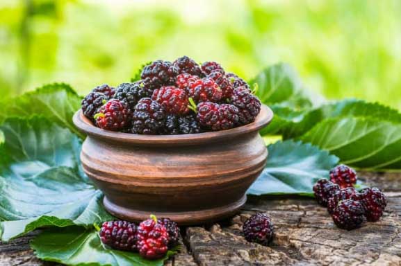 Thứ quả dân dã đang bán rẻ bèo ngoài đường: Giúp đẹp da, chữa tóc bạc sớm, thanh lọc cơ thể