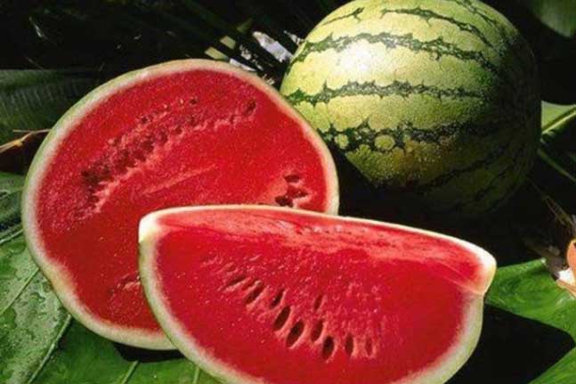 9 loại quả chăm sóc nội tạng, giảm bệnh mãn tính, sản sinh collagen chống lão hóa da