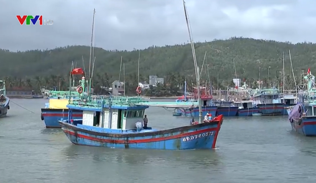 Việt Nam nỗ lực xây dựng nghề cá bền vững, có trách nhiệm
