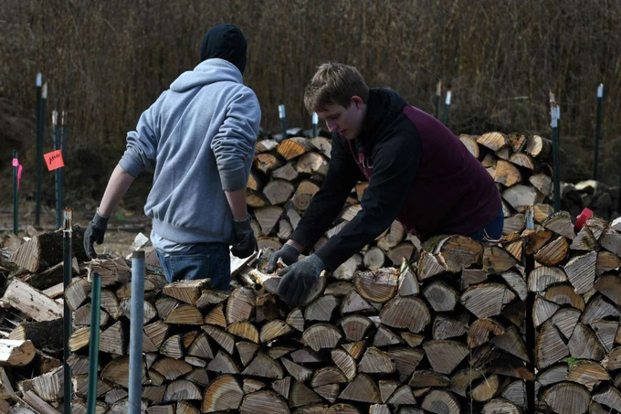 Người Mỹ cũng đổ xô đi mua củi để sưởi ấm khi giá nhiên liệu tăng cao