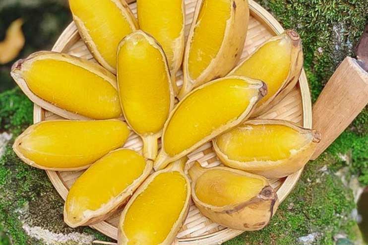 Loại quả rẻ bèo ở Việt Nam vừa "vét sạch" đường ruột lại chống được 15 loại bệnh mà rất ít người biết